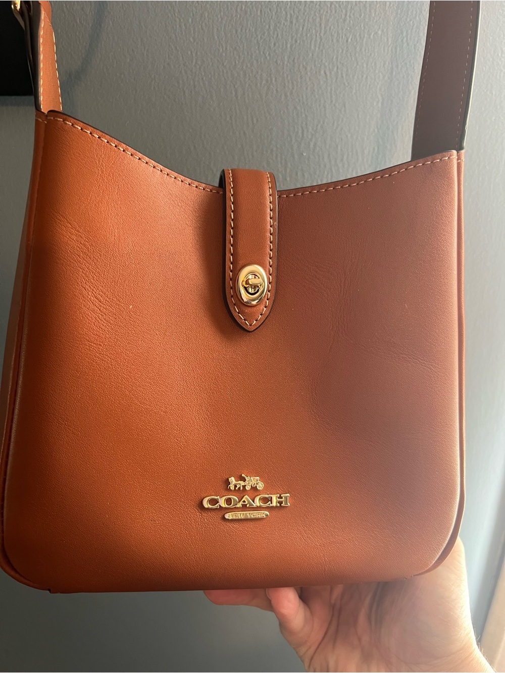 Coach Leather Crossbody Bag in Chestnut Brown with Gold Hardware